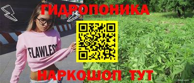ECSTASY Заволжье