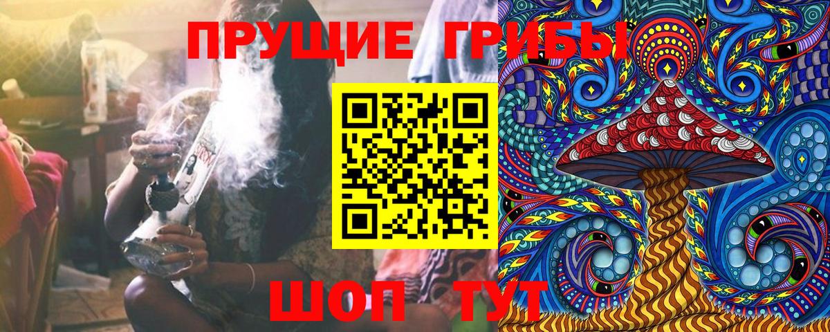 Псилоцибиновые грибы Psilocybe Кунгур